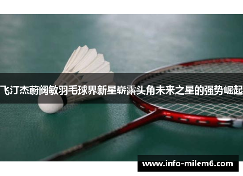 飞汀杰蔚阀敏羽毛球界新星崭露头角未来之星的强势崛起