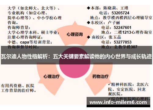 瓦尔迪人物性格解析：五大关键要素解读他的内心世界与成长轨迹