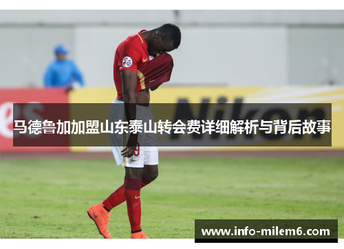 马德鲁加加盟山东泰山转会费详细解析与背后故事